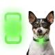 Selvlysende AirTag holder til kæledyr i silikone - Grøn