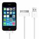 30-pin dock iPhone/iPad kabel - 1m